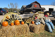 LHHB Greene Deals Orchard store buggy 10-5-10 photo by Carol